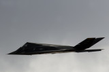 F-117 Nighthawk Stealth Fighter