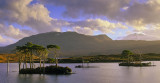 Island Pines Assynt