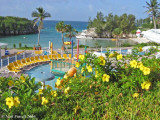 Bermuda_5091.JPG