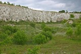 Monkton Nature Reserve 1.JPG