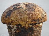 Rusty Mushroom
