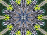 Feather Kaleidoscope