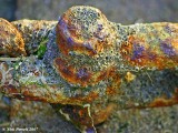 _MG_4358