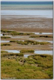 Low Tide At Pegwell Bay