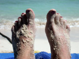 GC__SCN9816.JPG