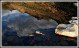 Sabino Canyon Reflection