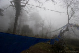 Prayer Flags in the Mist