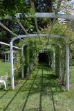 Arbor, Mid-Point Away from House