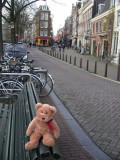 So many exciting things to do in Amsterdam!