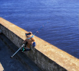 Fishing in The Curonian Lagoon
