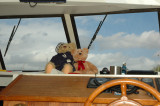 Meeting a sea-bear