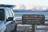 Parking place where I sat on  the open trunk of the car from 7-10am to take my photos