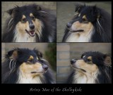 PB-Artrix Mac of the Shelleykidz.JPG