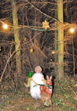 Das Christkind im Haderswrther Weihnachtswald
