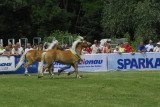pferd_190_exposure.JPG