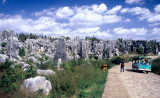 STONE FOREST BUS TOUR