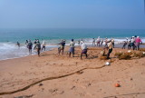 -BUSY  MORNING  ON THE BEACH -