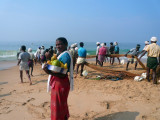 THE FRUIT SELLER