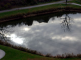 Pond at Springwood2