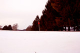 No Golf Today