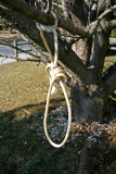 N is for Noose