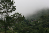 Panoramica del Bosque Nuboso