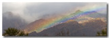 Catalina Rainbow