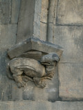 Un dragonnet de pierre