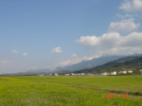 East Rift Valley ªáªFÁa¨¦