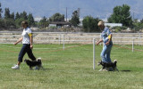Parent-2006KainMoving01.jpg