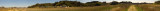 Rice Paddy Road