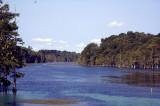 Merritts Mill Pond (Jackson Blue)