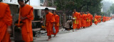 Monks getting food early in the morning at Luang Prabang - Laos