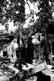 Angkor_NB_12.jpg