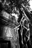 Angkor_NB_14.jpg