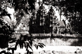 Angkor, Cambodia<p><a href=http://www.pbase.com/pfmerlin/angkor>More temples of Angkor here