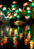 Chinese lantern - Jardin botanique - Montreal