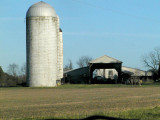 Out the Car Window