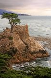 Lone Cypress, Point Lobos