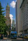 New York, Central Park Steet #3