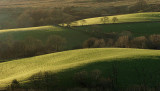 Winter sun over fields