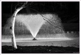 DSC_0040.jpg hesketh park 6.jpg 6.jpg