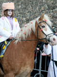 Haflinger horse and Character