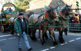 Beer Wagon Horses