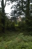 Muckross House, Killarney