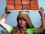 Woman Laborer, New Delhi, India