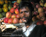 Fruit Merchant II, Mussori, India