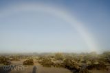 White Rainbow #2