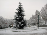 Park along Ontario St.