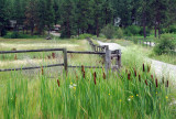 Old fence